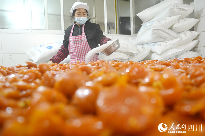 當(dāng)?shù)卮迕裾谶M(jìn)行橘餅蜜餞制作的重要步驟“喂糖”。黃正華攝
