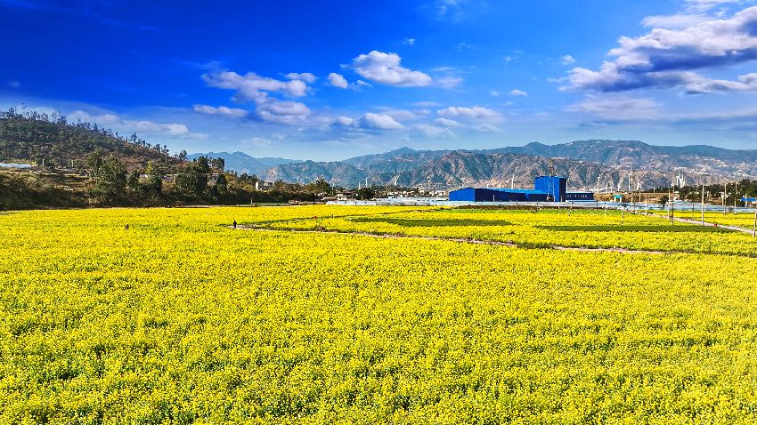 黃聯(lián)關(guān)鹿馬村。西昌市融媒體中心供圖