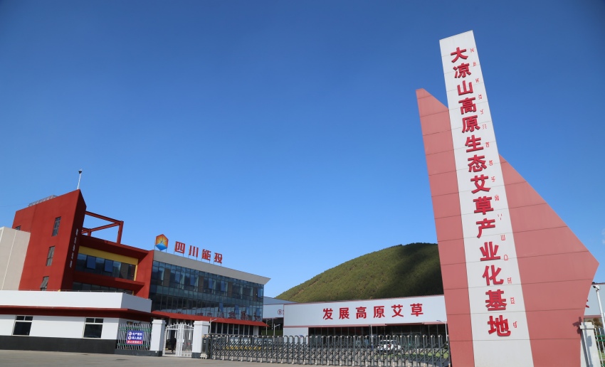 大涼山高原艾草生態產業園區。四川能投集團供圖