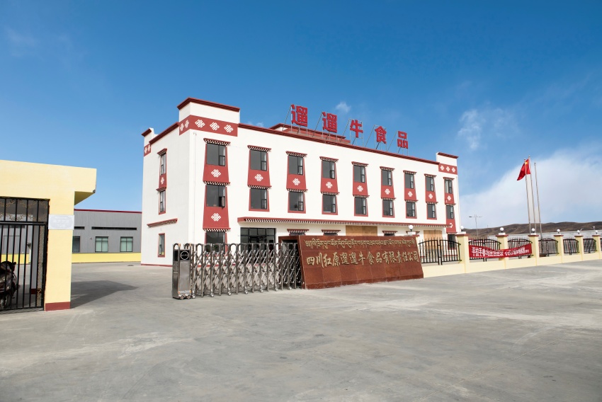 省國(guó)投公司下屬四川省農(nóng)牧業(yè)產(chǎn)業(yè)化發(fā)展省級(jí)重點(diǎn)龍頭企業(yè)——四川紅原遛遛牛食品公司生產(chǎn)基地。省國(guó)投公司供圖