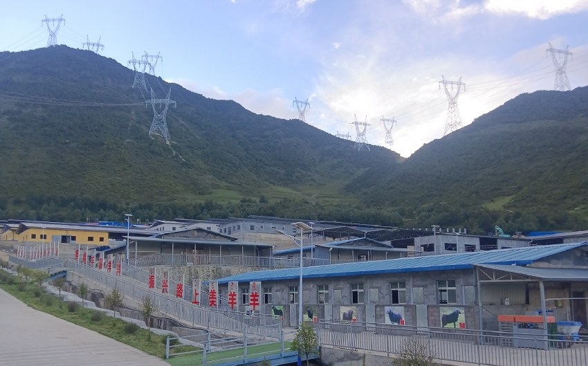 國家能源四川公司打造的布拖黑綿羊現代農業園區養殖廠房。四川省國資委供圖