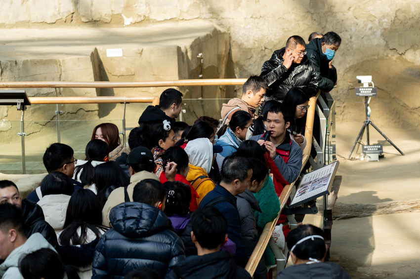 志愿者開展公益講解。金沙遺址博物館供圖