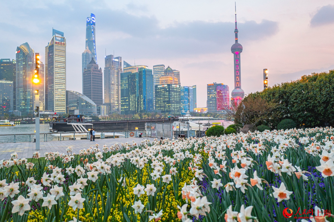 北外灘繁花似錦，景色迷人。 人民網(wǎng)記者 王初攝