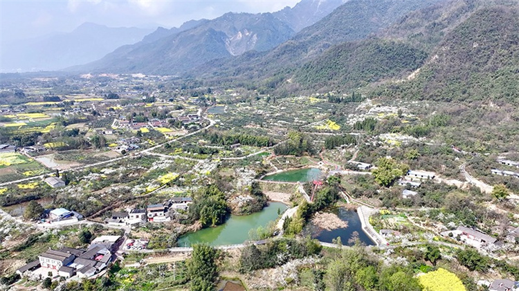 綿竹市農(nóng)村一角。綿竹市融媒體中心供圖