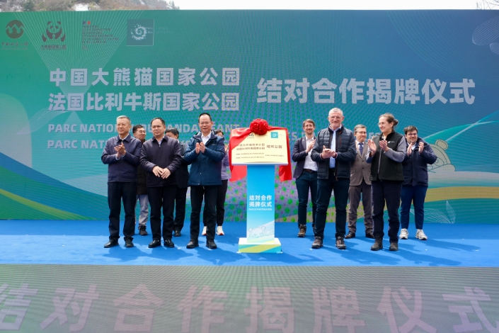 4月1日，中國大熊貓國家公園與法國比利牛斯國家公園結對合作揭牌儀式現場。新華社記者 張雅雯 攝