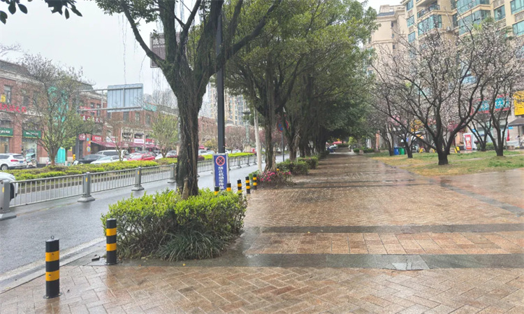 萬安街道雅居樂花園小區外干凈整潔，煥然一新。四川天府新區融媒體中心供圖