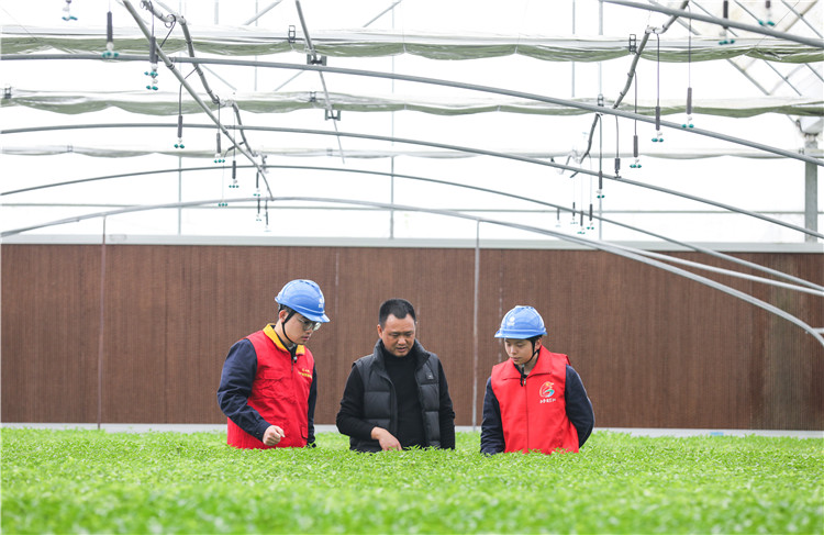 工作人員檢查育秧中心設備。鄰水縣供電有限公司供圖