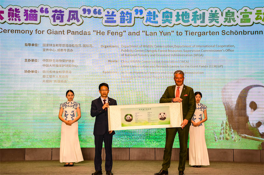 熊貓中心向奧地利美泉宮動物園移交大熊貓檔案。大熊貓保護(hù)研究中心供圖