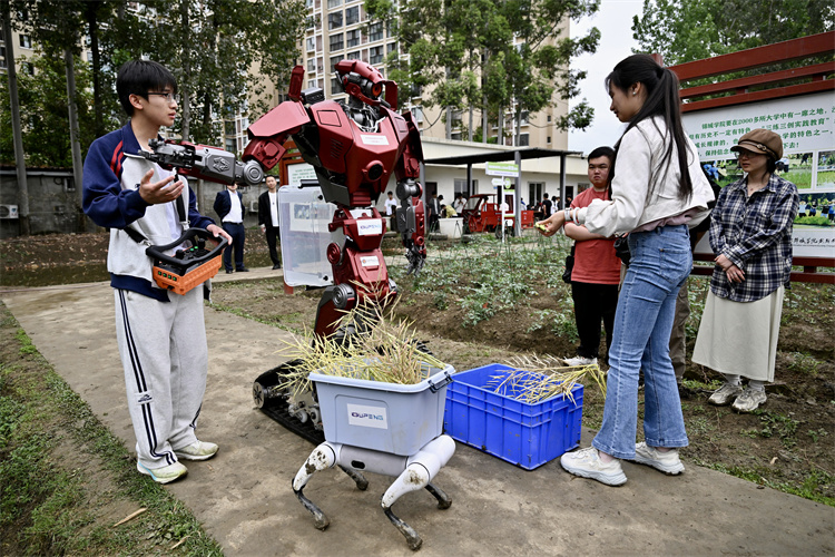 人形機器人“錦小智”搬運農具。