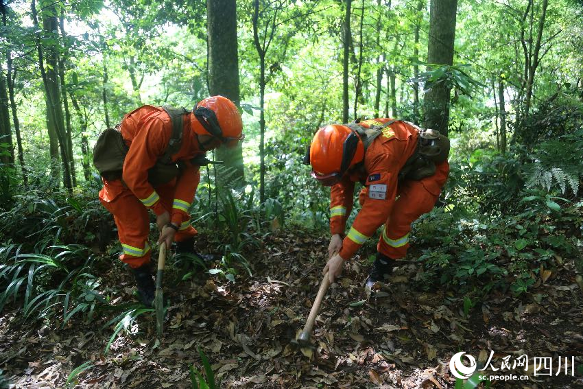 5月1日，在景區林區巡護的消防員正在清理堆積的枯樹枝。程雪力攝