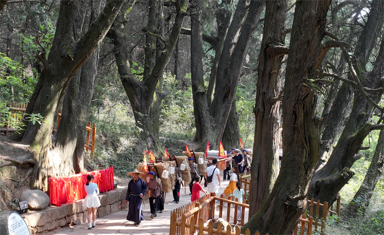 翠云廊景區再現古蜀道上繁榮景象。劍閣縣委宣傳部供圖