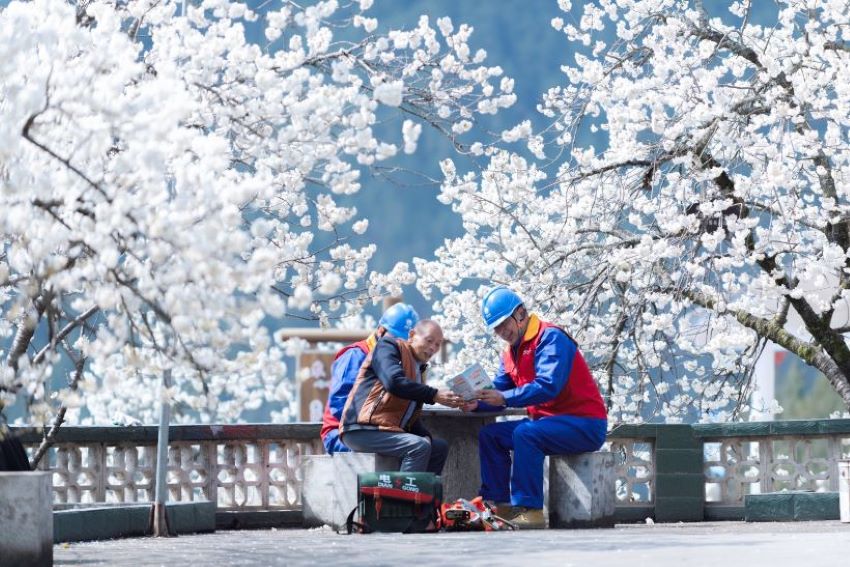 2024年3月13日，國網四川電力（廣元）連心橋共產黨員服務隊在廣元市朝天區沙河鎮，幫助當地農家樂排查、消除用電隱患故障，同時宣傳安全用電注意事項，助力當地農戶增收致富。張超攝