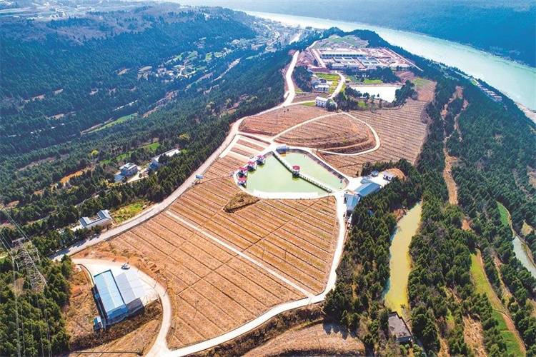 蒼溪縣浙水鄉寨坪村集體經濟園全貌。廣元市融媒體中心供圖