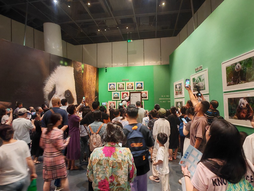 “自然謎語·博物致知”——518走進成都自然博物館系列主題活動。主辦方供圖