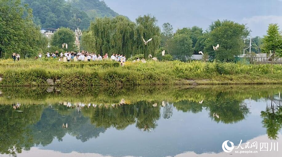 朱鹮放飛現(xiàn)場。人民網(wǎng)記者 朱虹攝