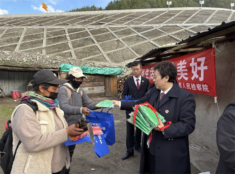 發放普法宣傳資料。九龍檢察院供圖