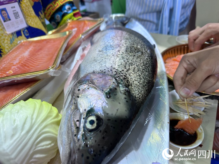 理縣生態養殖魚。人民網記者 王波攝