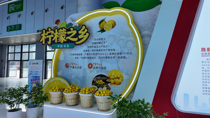 資陽本土農產品。何婧雯攝