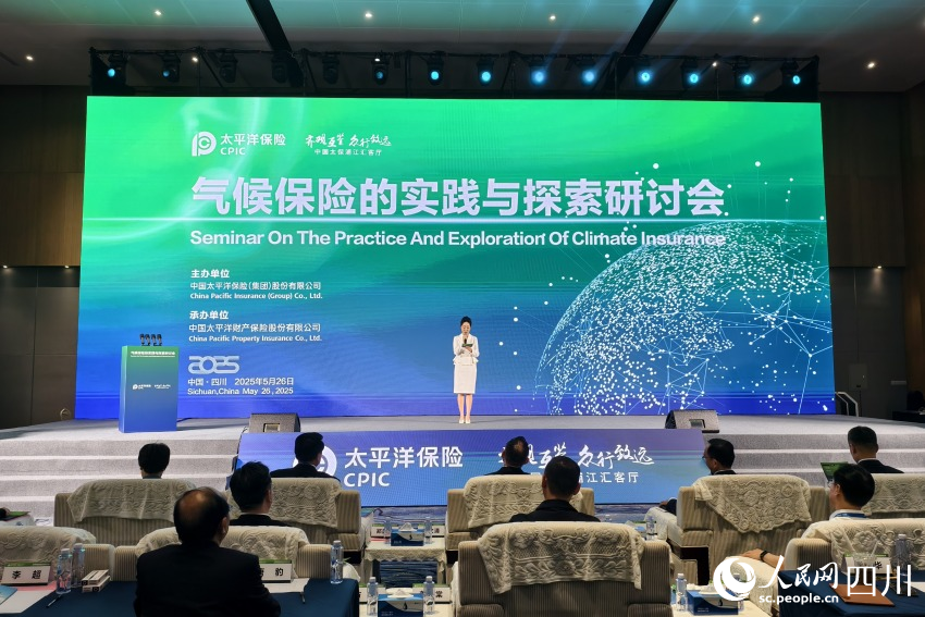 研討會(huì)現(xiàn)場(chǎng)。人民網(wǎng) 趙祖樂攝