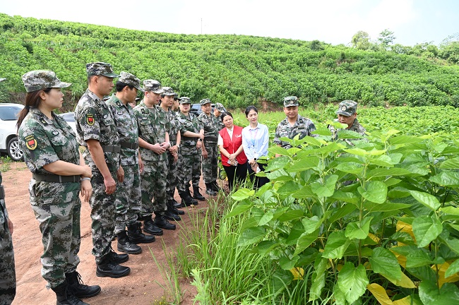 參觀桑園。蔣兵供圖