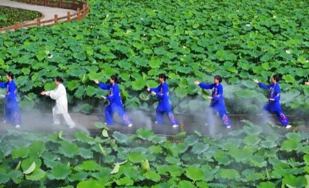 沉浸式中醫藥文旅體驗活動在荷塘間打太極拳，在花叢中學八段錦，在藥田里包中藥粽……這些既酷又時尚的活動，在鄉村刮起一股“國潮風”。