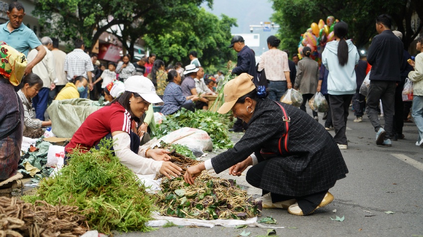 端午民俗盛會活動現(xiàn)場。德昌縣委宣傳部供圖