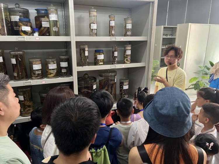 科普講解員李茂良在兩棲爬行動物標本館為青少年講解蛇類標本。四川天府新區(qū)融媒體中心供圖