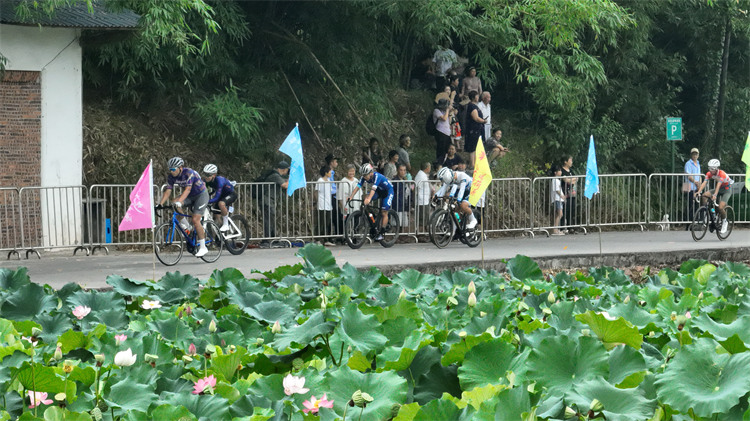 選手騎行在荷塘旁。江安縣融媒體中心供圖