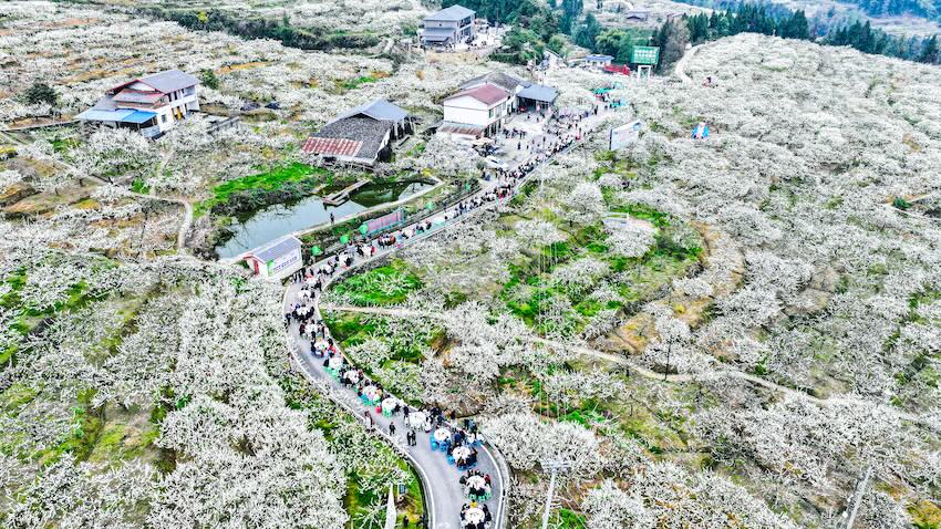 廟安鎮花果山。宣漢縣委宣傳部供圖