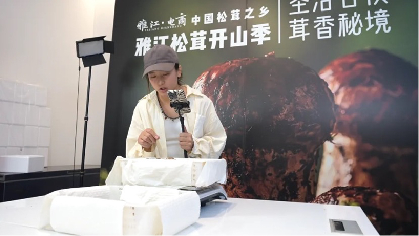 直播現場。雅江外宣供圖