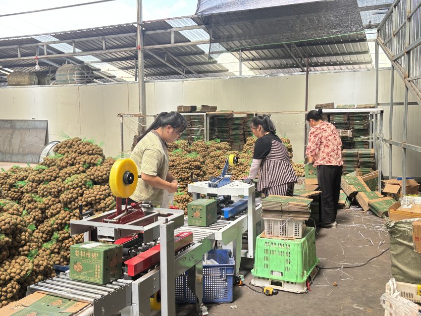 正在對核桃打包。德昌縣委宣傳部供圖