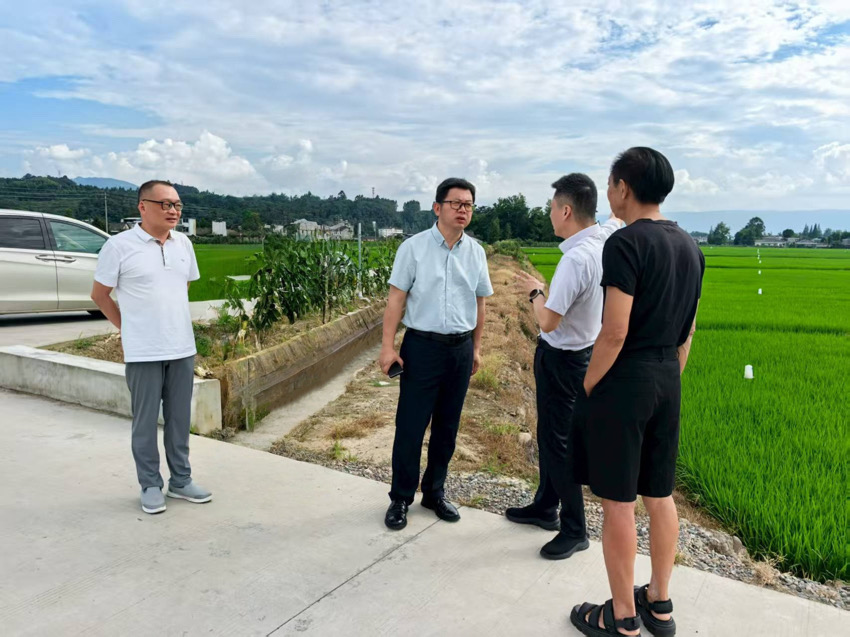 人民網四川頻道調研組調研洪雅縣“天府糧倉”（示范片）建設工作。眉山市黨史和地方志編纂中心供圖