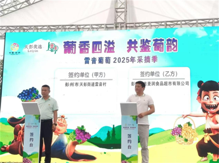 葡萄供銷簽約。趙紫妍供圖
