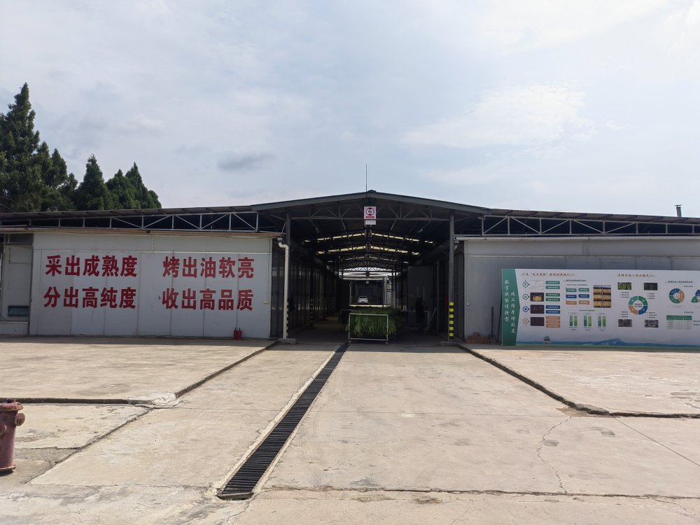 劍閣縣雙魚新能源烘烤工場。劍閣縣煙草專賣局供圖