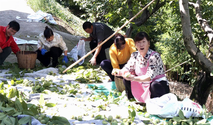 豐收的喜悅洋溢在每個人的臉上。冉金鷺供圖
