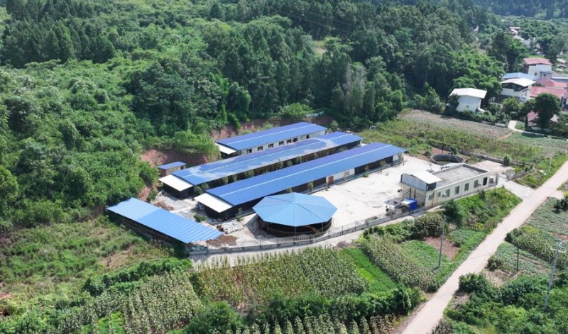 農場航拍圖。姚陽攝