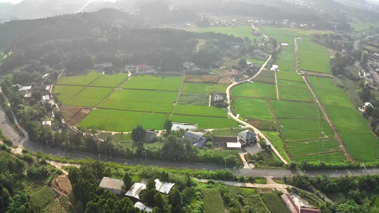 三臺縣八洞鎮(zhèn)等6個鎮(zhèn)鄉(xiāng)高標(biāo)準(zhǔn)農(nóng)田項目。農(nóng)發(fā)行綿陽市分行供圖