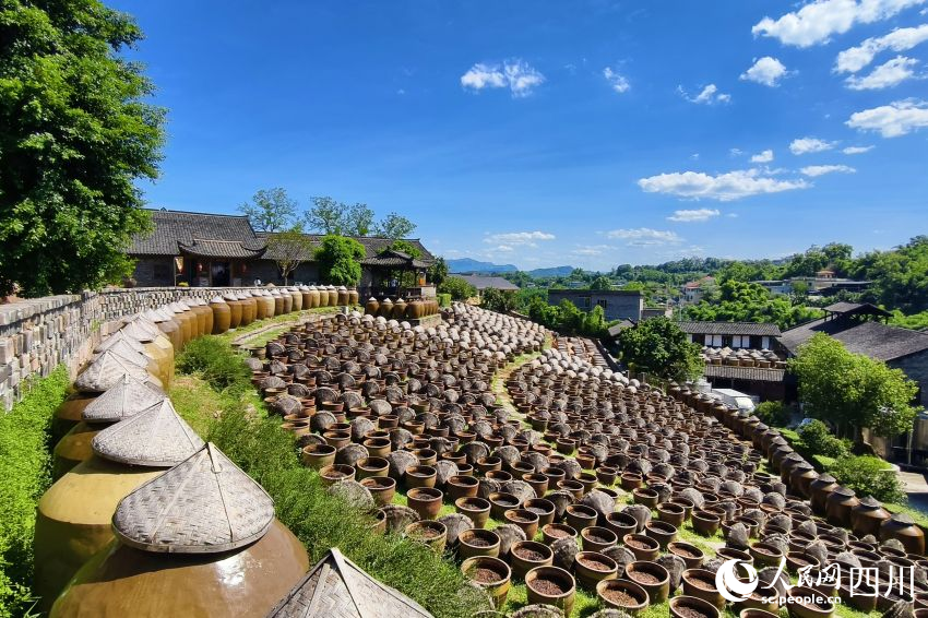 先市醬油赤水河莊園內釀造醬油的陶缸整齊排列。人民網 趙祖樂攝
