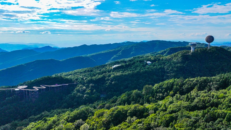 月亮坪森林康養旅游度假區。張平攝