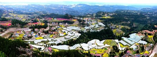 蒼溪黃貓埡農文旅融合示范農業園區。蒼溪縣委宣傳部供圖