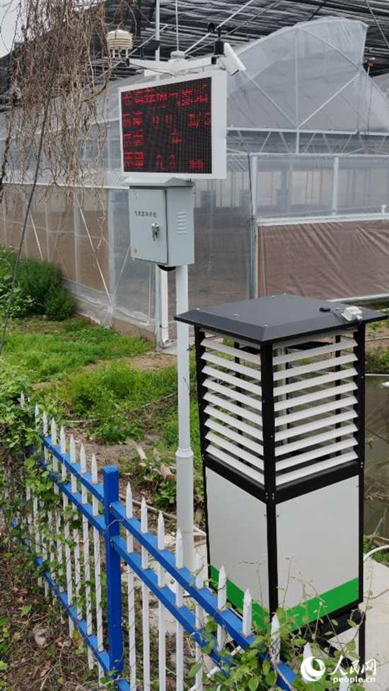 在福建省漳州市龍海區(qū)東園鎮(zhèn)港邊村育苗基地，佇立在田間的“AI蟲情測(cè)報(bào)儀”。人民網(wǎng) 李昌乾攝